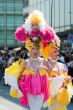 CSD 2010